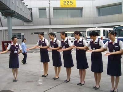 民航服務禮儀 以禮儀服務鑄就卓越之旅
